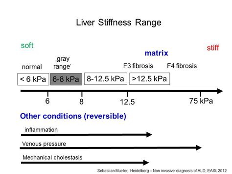 liver stiffness normal range